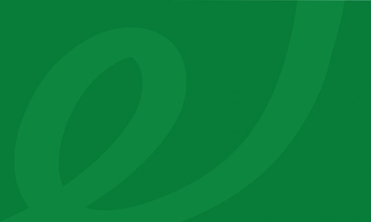 Скриншот проекта Rainbow Care&Coaching